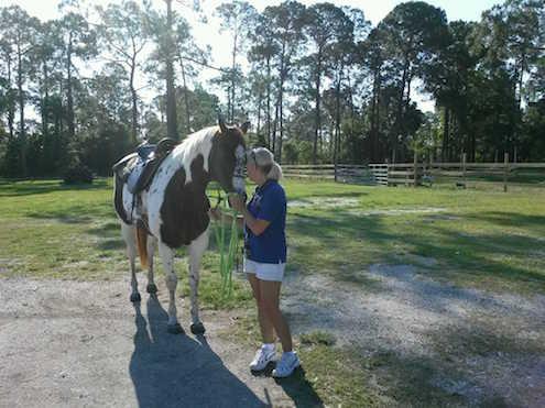 Woman with a Beautiful Horse