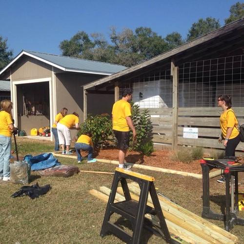 Volunteers Planting