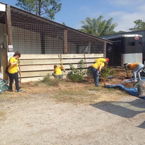 Volunteers Planting