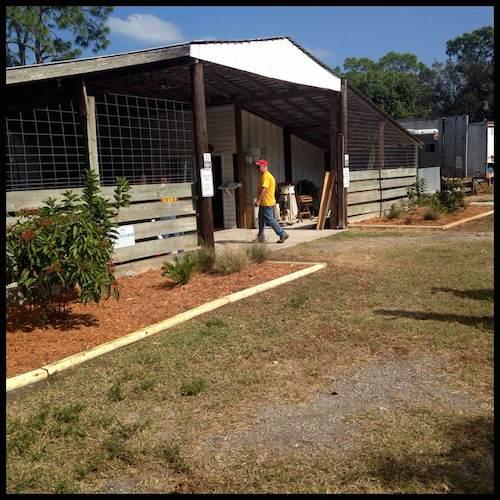 Special Equestrians Farm